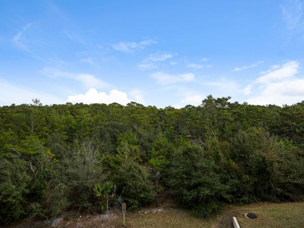 Beaches Of South Walton Condo 958795
