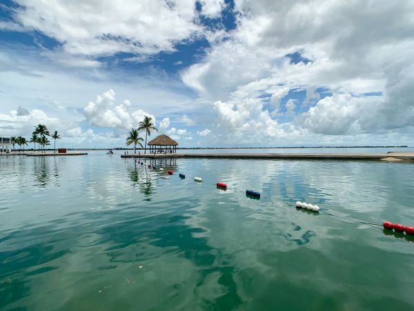 The Florida Keys Home 958901