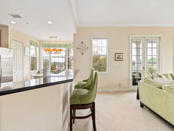Orlando Condo 958937