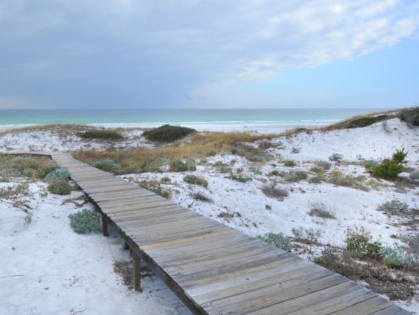 Beaches Of South Walton Condo 958989