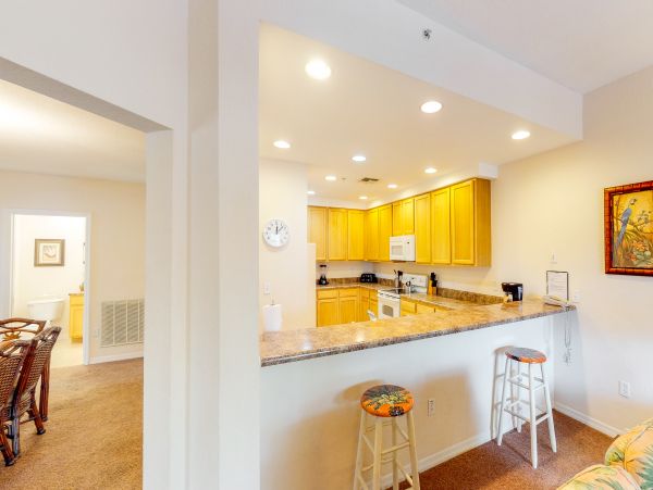 Orlando Home 959044