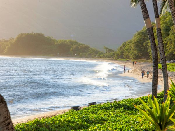 Beachfront Vacation Condo with Amazing Views