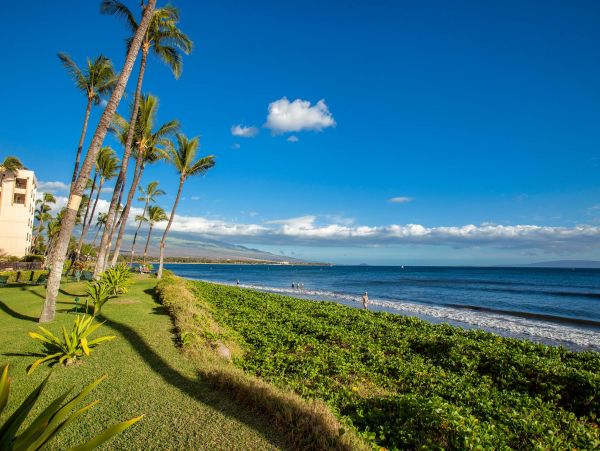 Oceanfront Kihei Vacation Condo with 1 Bedroom