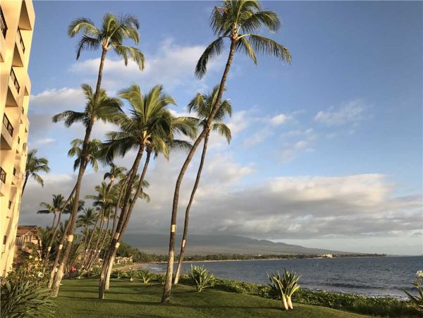 Kihei Condo 959054