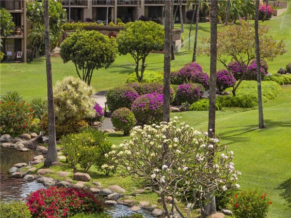 Wailea Condo 959061