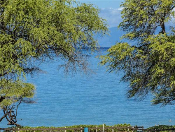 Wailea Condo 959061