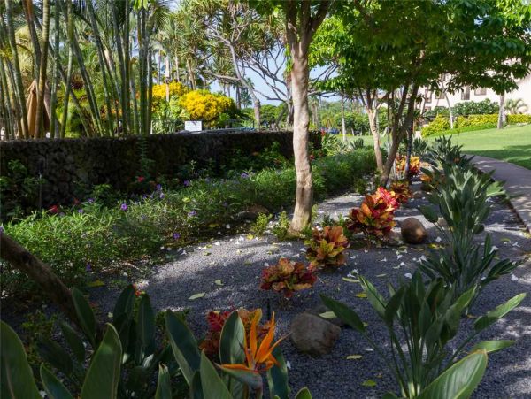 Wailea Condo 959061
