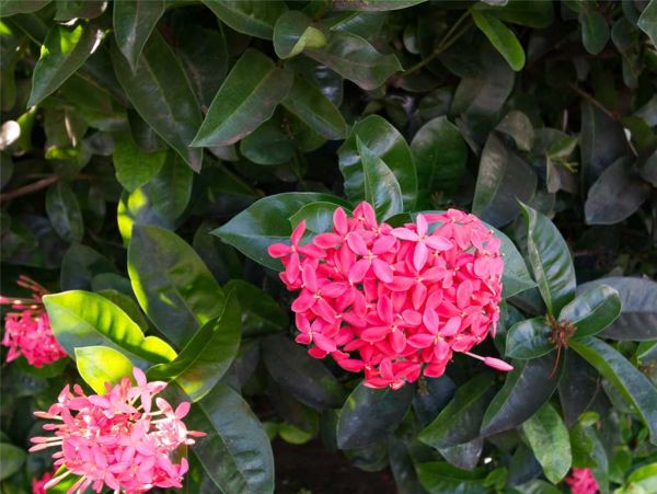 Wailea Condo 959061