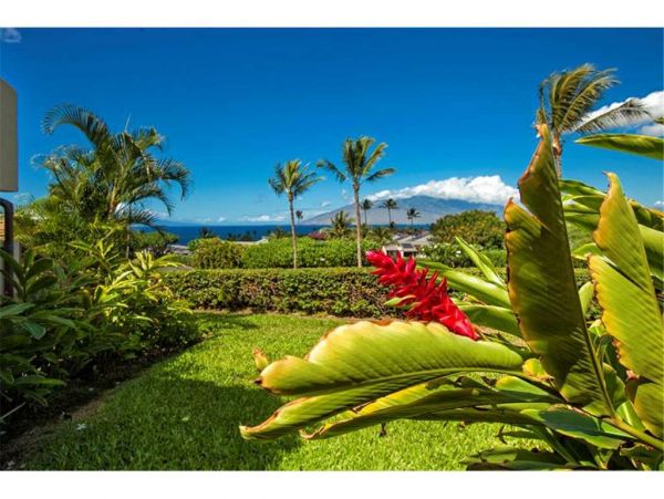 Wailea Condo 959062