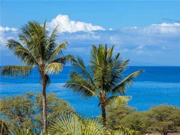 Wailea Condo 959063