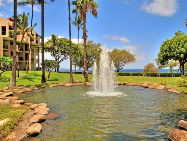 Wailea Condo 959066