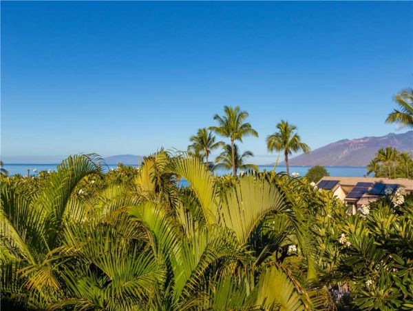Wailea Condo 959070
