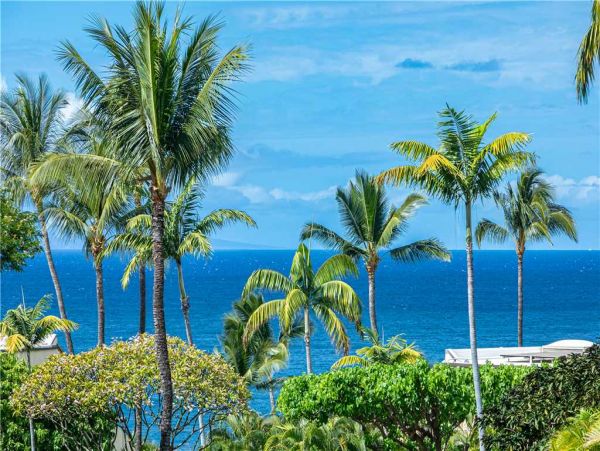 Wailea Condo 959070