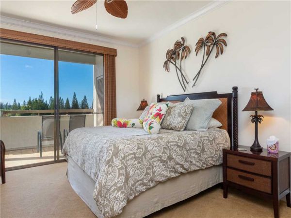 Kapalua Condo 959072