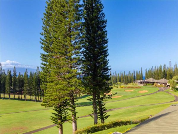 Kapalua Condo 959072