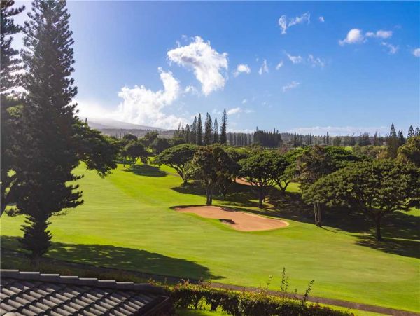 Kapalua Condo 959072