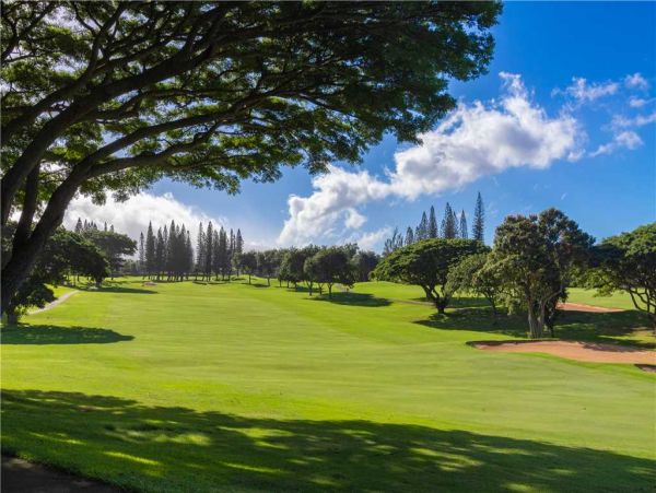 Kapalua Condo 959072