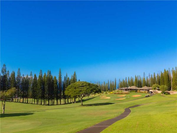 Kapalua Condo 959072