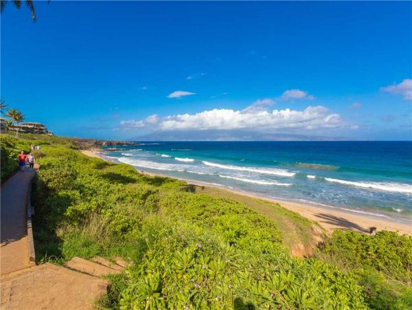 Kapalua Condo 959072