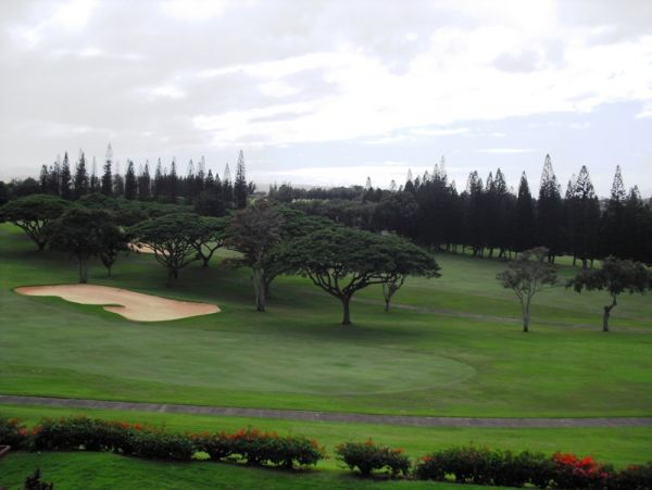 Kapalua Condo 959072