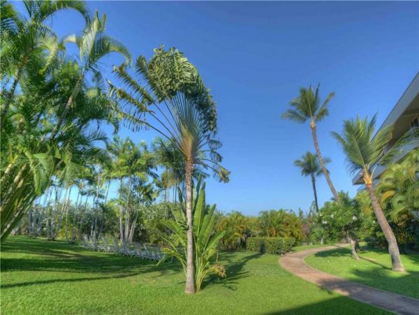 Wailea Condo 959075