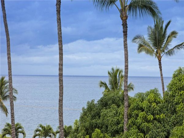 Wailea Condo 959078