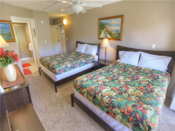 Wailea Condo 959080