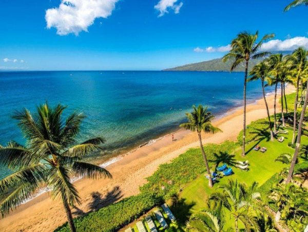 Lovely Condo with One Bedroom in Kihei