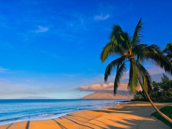 Lovely Condo with One Bedroom in Kihei
