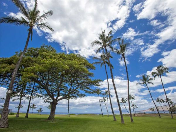 Kihei Condo 959090