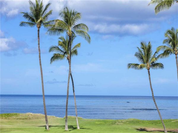 Kihei Condo 959090