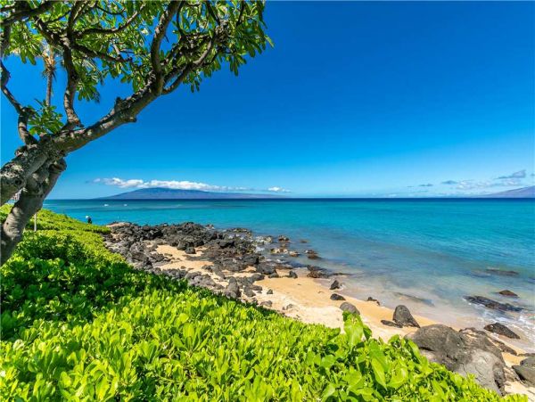 Kahana Condo 959095