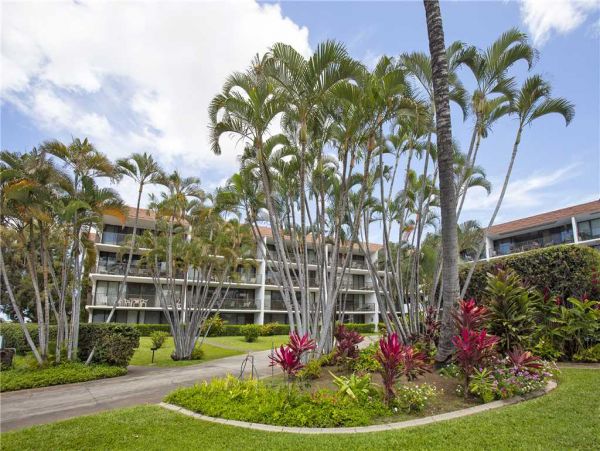 Wailea Condo 959097