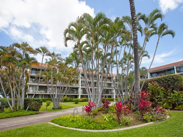 Wailea Condo 959098