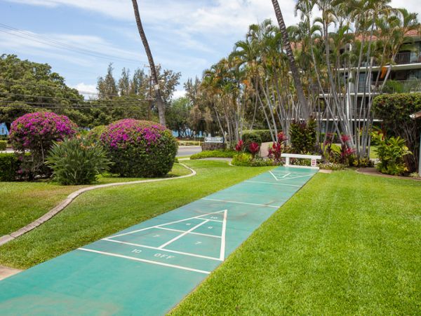 Wailea Condo 959098
