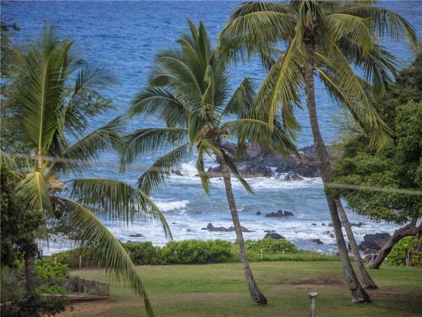 Wailea Condo 959098