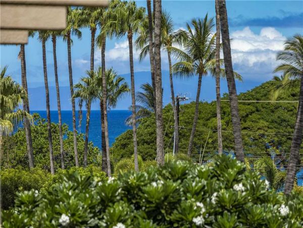 Wailea Condo 959106