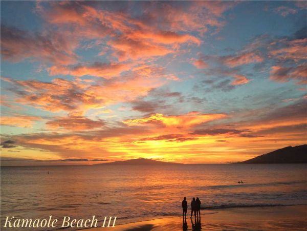 Wailea Condo 959108