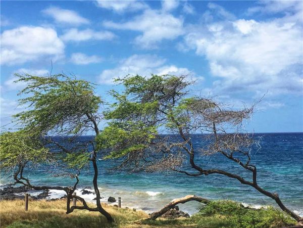 Wailea Condo 959108