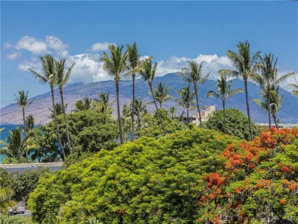 Wailea Condo 959109