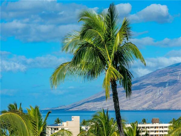 Wailea Condo 959114