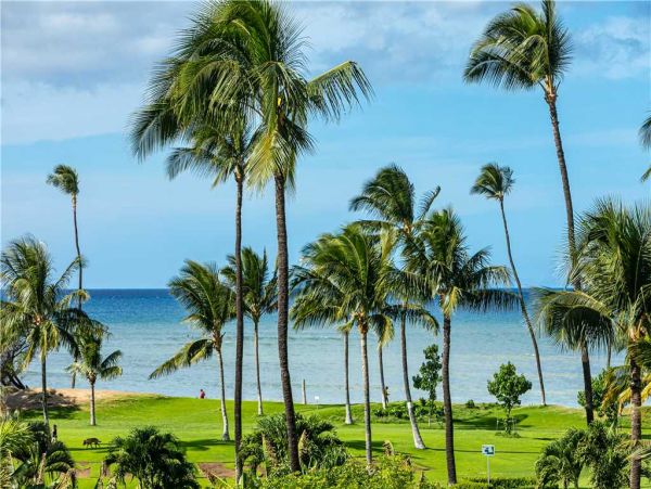 Kihei Condo 959115