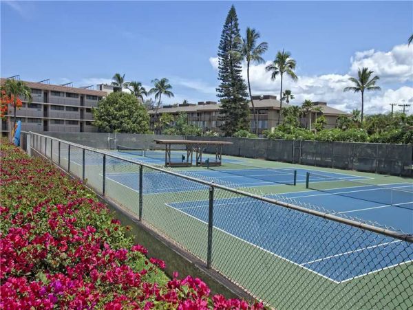 Wailea Condo 959116