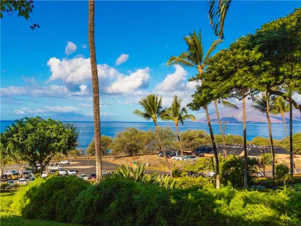 Wailea Condo 959117