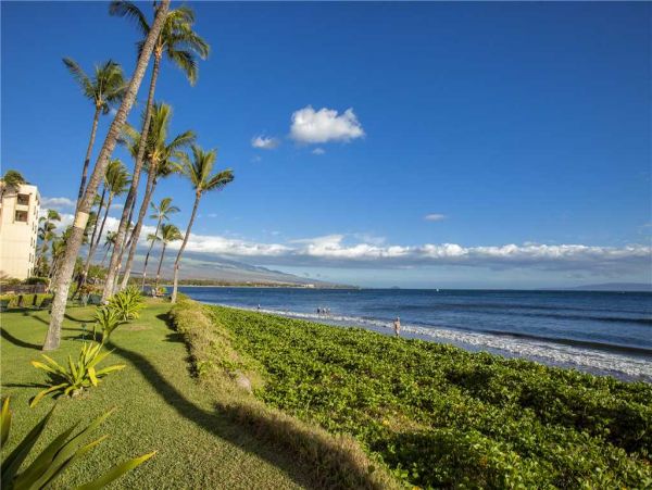 Oceanfront Getaway One Bedroom Condo in Kihei