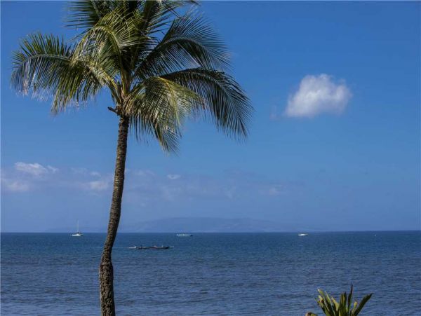 Kihei Condo 959122