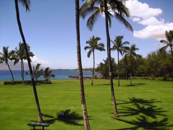 Kihei Condo 959131
