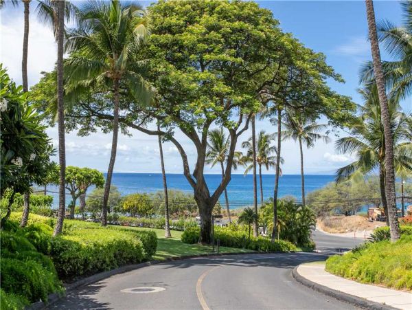 Wailea Condo 959139