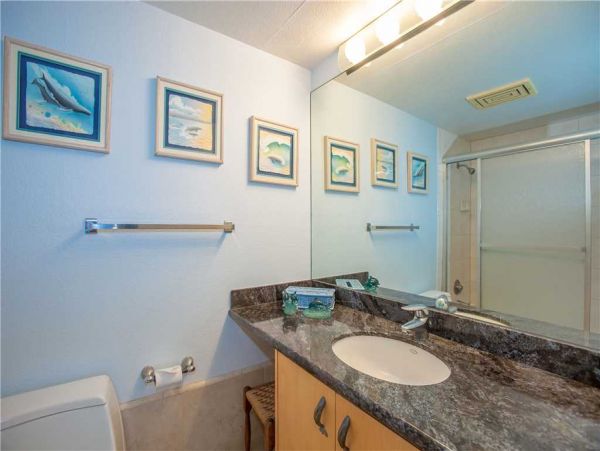 Wailea Condo 959143