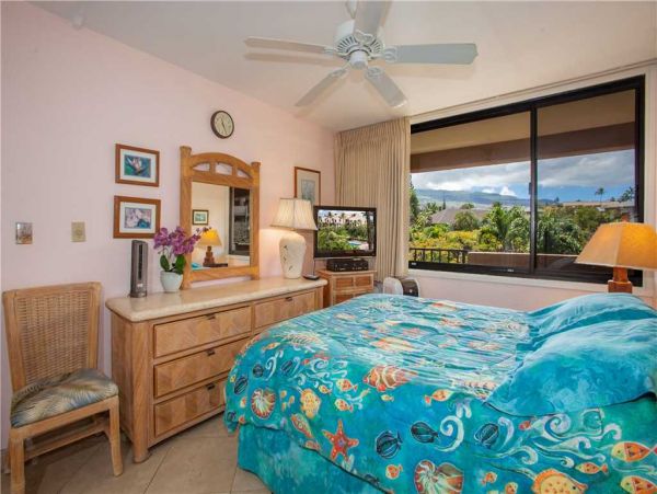 Wailea Condo 959143